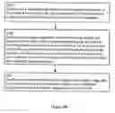 Fig. 20 - Systems, methods and devices for image registration and surgical localization