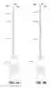 Fig. 04 - ENDODONTIC INSTRUMENTS AND ROOT CANAL TREATMENT METHODS