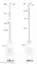 Fig. 05 - ENDODONTIC INSTRUMENTS AND ROOT CANAL TREATMENT METHODS