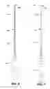 Fig. 06 - ENDODONTIC INSTRUMENTS AND ROOT CANAL TREATMENT METHODS
