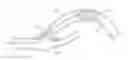 Fig. 01 - Retrieval catheter