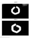 Fig. 13 - COVERED STENT AND PREPARATION METHOD THEREFOR