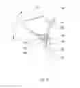 Fig. 05 - Device for trapping the end of at least one fascicle of soft material in a bone tunnel