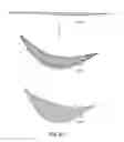 Fig. 07 - Systems and methods for mastopexy