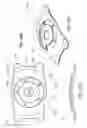 Fig. 50 - Masked intraocular implants and lenses