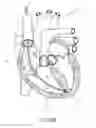 Fig. 20 - DEVICES AND METHODS FOR REDUCING CARDIAC VALVE REGURGITATION
