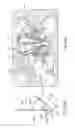 Fig. 11 - Prosthetic heart valve devices and associated systems and methods