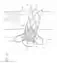 Fig. 09 - Vena-caval device