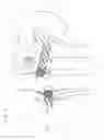 Fig. 18 - Vena-caval device