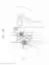 Fig. 25 - Vena-caval device