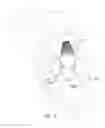 Fig. 15 - Mitral valve inversion prostheses