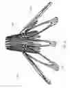 Fig. 17 - Mitral valve inversion prostheses