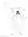 Fig. 12 - Mitral valve inversion prostheses
