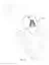 Fig. 13 - Mitral valve inversion prostheses