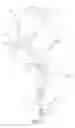 Fig. 07 - LONG BONE RESURFACING BONE LOCK