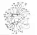 Fig. 01 - Method for spinal adjustment using hinged spinal insert device