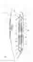 Fig. 02 - Ostomy appliance having a pre-filter and a deodorizing filter inserted into the pre-filter