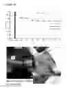 Fig. 14 - Mammalian head cooling system and method