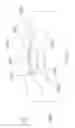 Fig. 13 - Methods of correcting vision