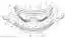 Fig. 01 - Goggle lens and face gasket engagement system