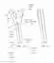 Fig. 35 - Suture sleeve patch and methods of delivery within an existing arthroscopic workflow