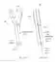 Fig. 44 - Suture sleeve patch and methods of delivery within an existing arthroscopic workflow