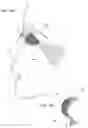 Fig. 17 - Facial structure stabilization methods and apparatus