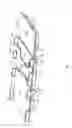 Fig. 08 - Patient support usable with bariatric patients