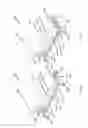 Fig. 80 - Patient support usable with bariatric patients