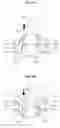 Fig. 10 - Supporting module and motion assistance apparatus including the same