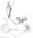 Fig. 01 - Rollator walker
