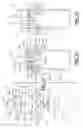 Fig. 16 - VIAL ADAPTER AND SYSTEM
