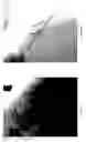 Fig. 12 - Method for treating deleterious effects arising from tattoos