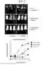 Fig. 07 - Compositions and methods for treating ewing sarcoma