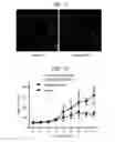 Fig. 13 - Compositions and methods for treating ewing sarcoma