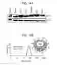 Fig. 15 - Compositions and methods for treating ewing sarcoma