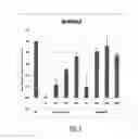 Fig. 03 - LIPID FORMULATION