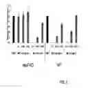 Fig. 04 - LIPID FORMULATION