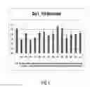 Fig. 05 - LIPID FORMULATION