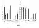 Fig. 06 - LIPID FORMULATION