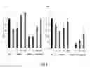 Fig. 07 - LIPID FORMULATION
