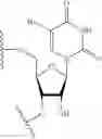 Fig. 12 - LIPID FORMULATION