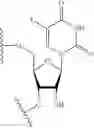 Fig. 13 - LIPID FORMULATION