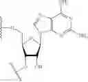 Fig. 14 - LIPID FORMULATION