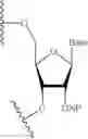 Fig. 18 - LIPID FORMULATION