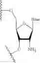 Fig. 20 - LIPID FORMULATION