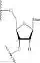 Fig. 21 - LIPID FORMULATION