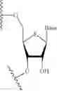 Fig. 22 - LIPID FORMULATION