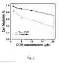 Fig. 06 - Nanoparticles, method of preparing the same and their use