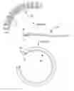 Fig. 01 - Shape changing drug delivery devices and methods
